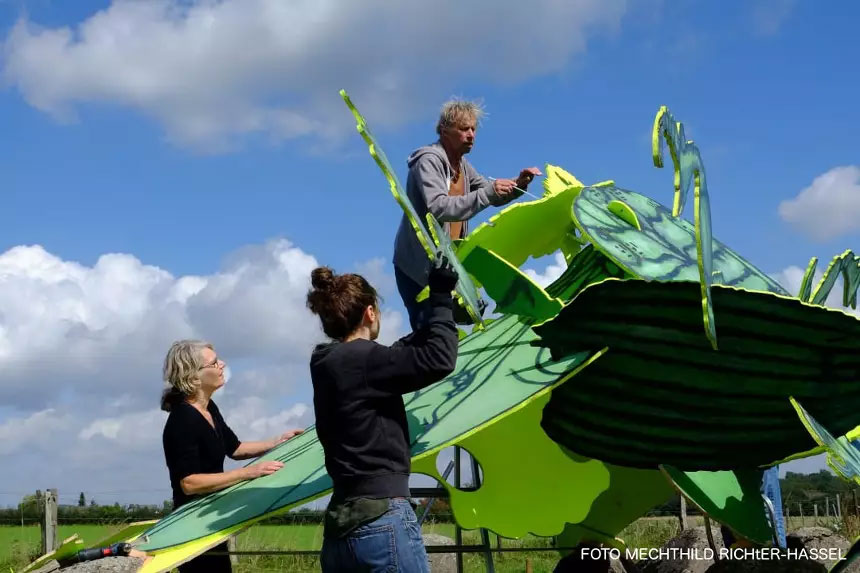 spectrum-projekt-drachenzaehne-kaefer-slider-02