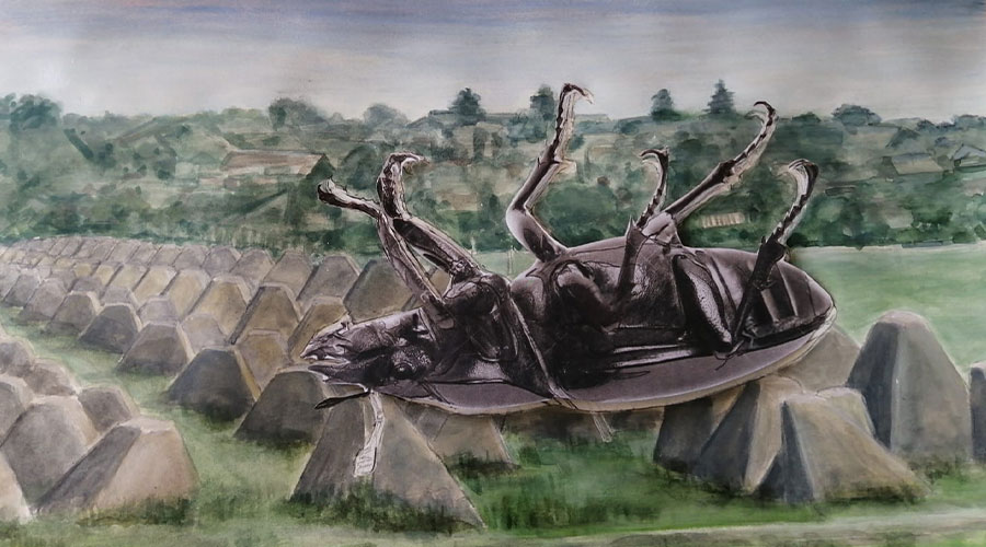 spectrum-projekt-drachenzaehne-kaefer-slider-03